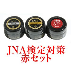プリジェルカラーEX ジェル検定初級セットⅢ | ジェルネイルショップ 