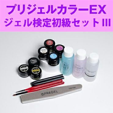 ネイリスト検定3級、ジェル検定フルセット （ネイリスト技能検定3級 